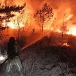 حرائق الغابات تربك حركة السكك الحديدية في جنوب هولندا وتؤدي إلى تعطيل جزئي للرحلات