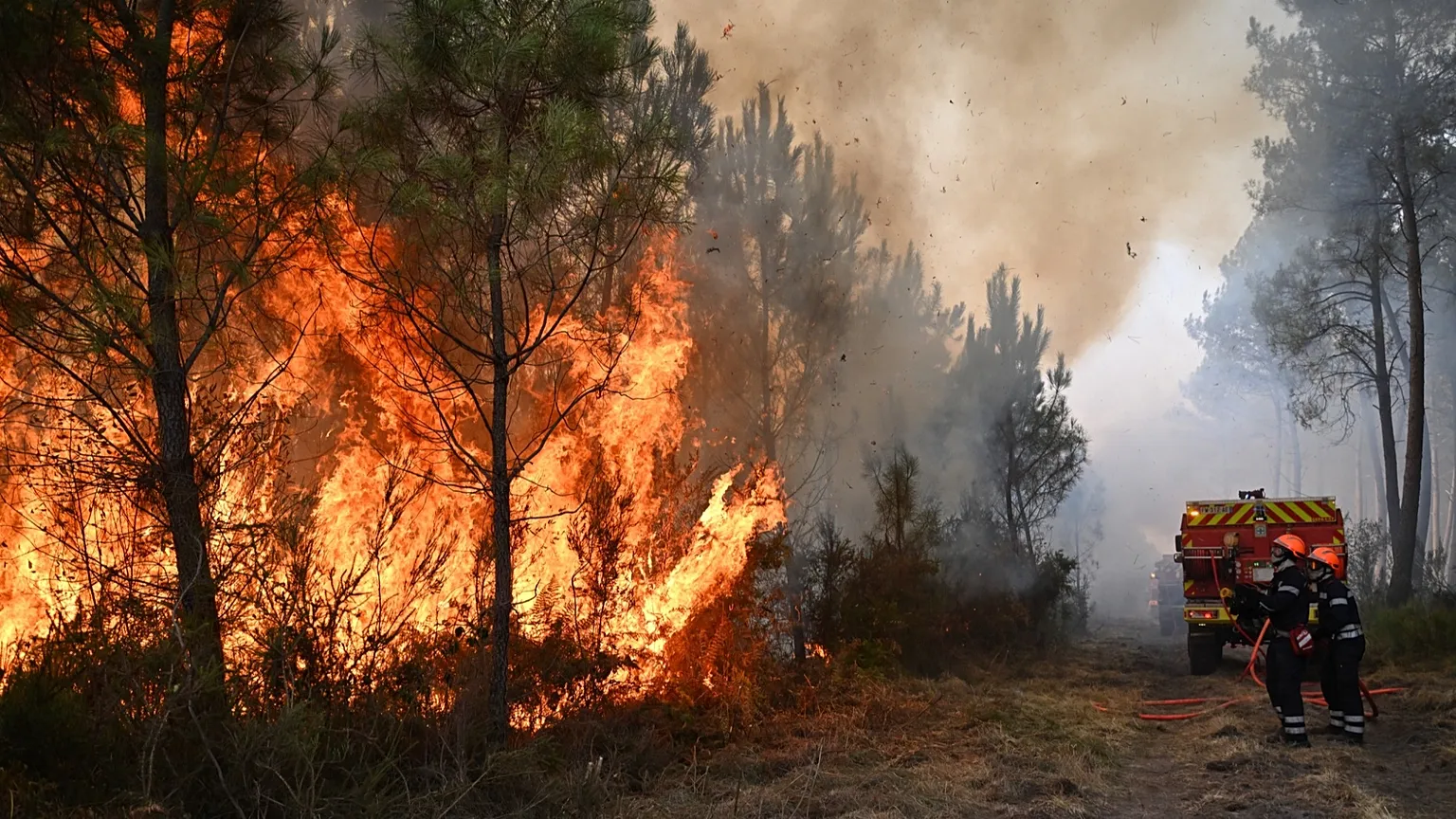 Forest fires in Europe cause over 3 billion euros in losses… and climate change threatens the economy