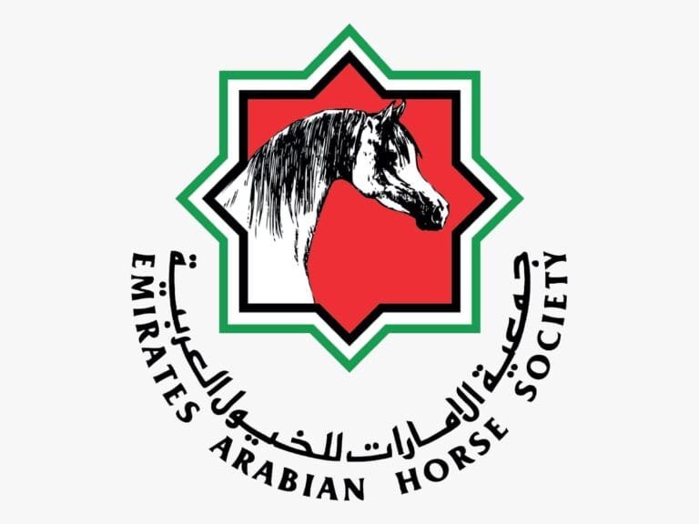 الإمارات.. اعتماد برنامج بطولات ومزادات جمال الخيل العربية لموسم 2026 -2027