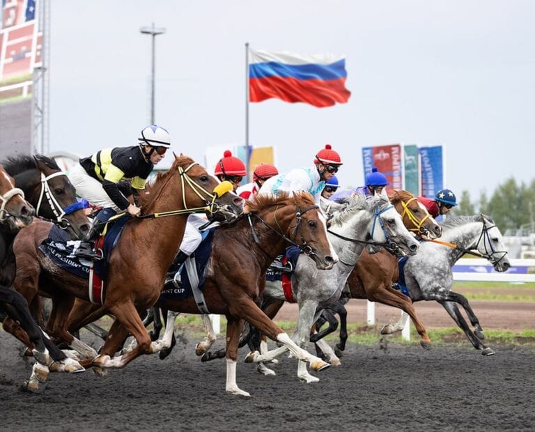 Tatarstan.. 11 horses will compete tomorrow for the UAE President's Cup for Arabian Horses
