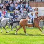 Yas Horses Win Double in France Races