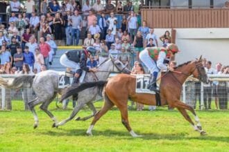 Yas Horses Win Double in France Races