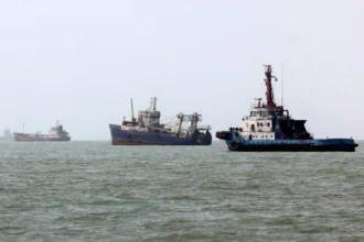 Two Chinese shipping companies halt their tankers' passage through the Strait of Hormuz
