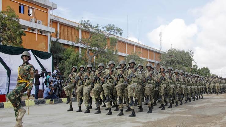 Another blow to terrorism in Somalia: Two senior leaders killed during a security operation in Middle Shabelle