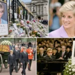 The anniversary of Princess Diana's death: How did the People's Princess become an eternal icon?