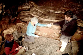 A Neanderthal camp in Spain reveals secrets lived by humans 46,000 years ago