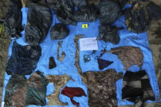 117 Unidentified Bodies: Mass Grave Reveals the Tragedy of the Missing in Mexico
