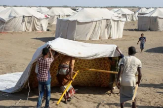 The United Nations documents widespread displacement in Taiz, and the Yemeni government calls for urgent international intervention